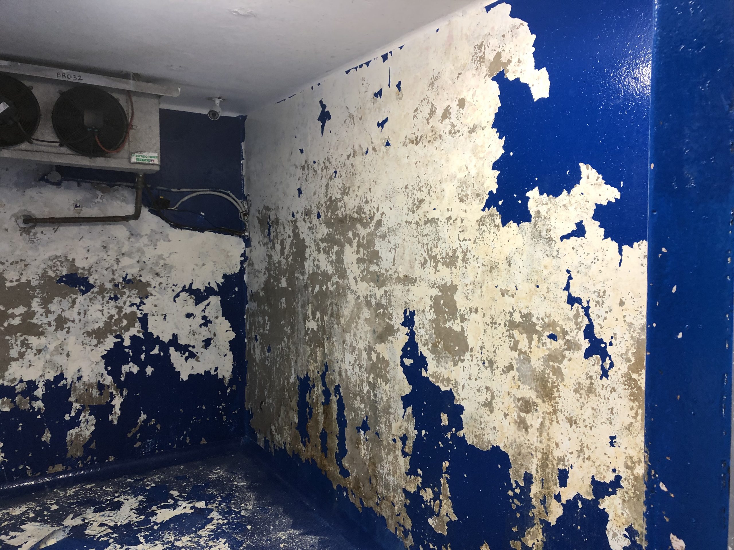 Coolroom refurbishment before