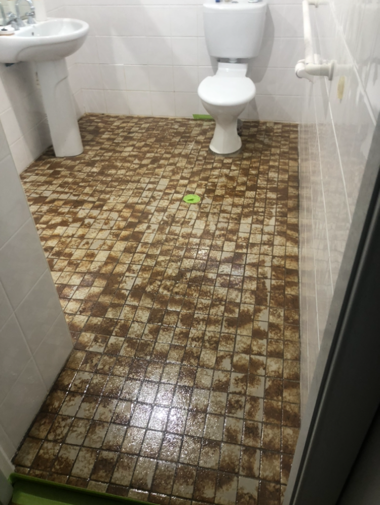 Bathroom before renovation